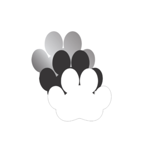 Paw Print - Blank